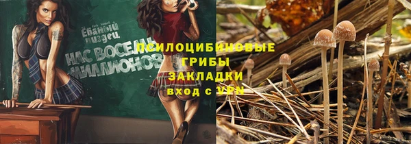 эйфоретик Алексин
