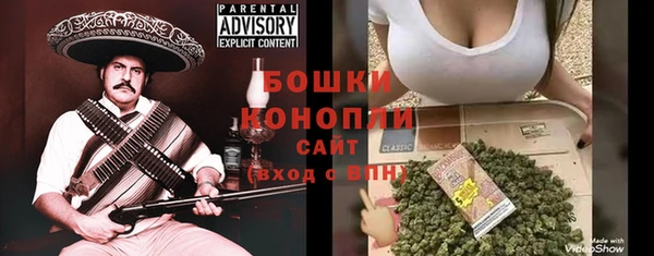 гашик Арсеньев